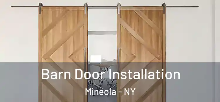  Barn Door Installation Mineola - NY