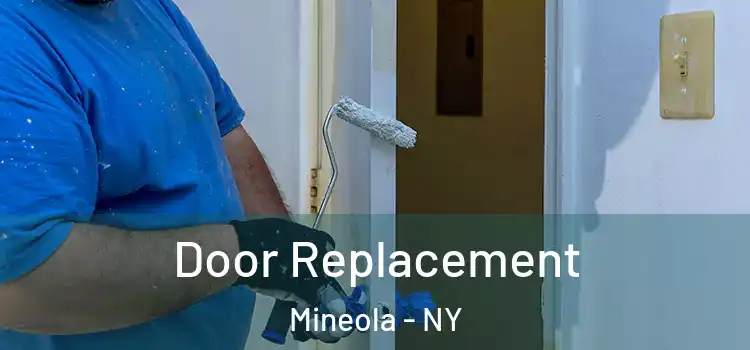  Door Replacement Mineola - NY