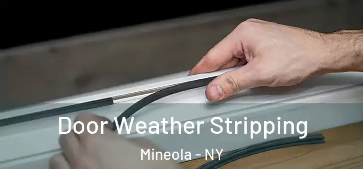  Door Weather Stripping Mineola - NY
