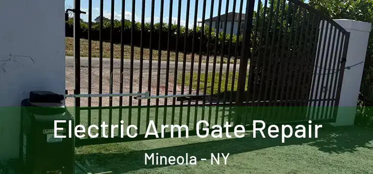  Electric Arm Gate Repair Mineola - NY
