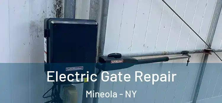  Electric Gate Repair Mineola - NY