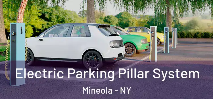  Electric Parking Pillar System Mineola - NY