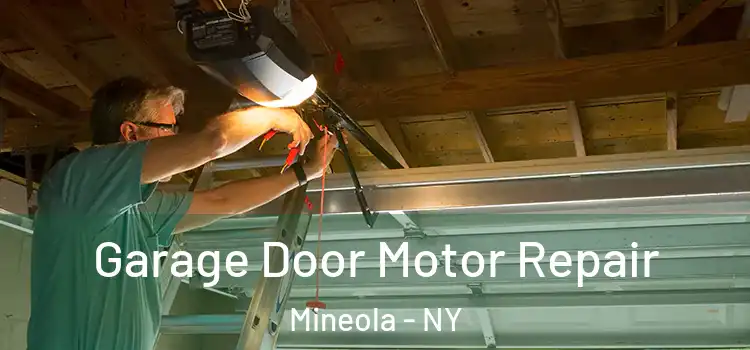  Garage Door Motor Repair Mineola - NY