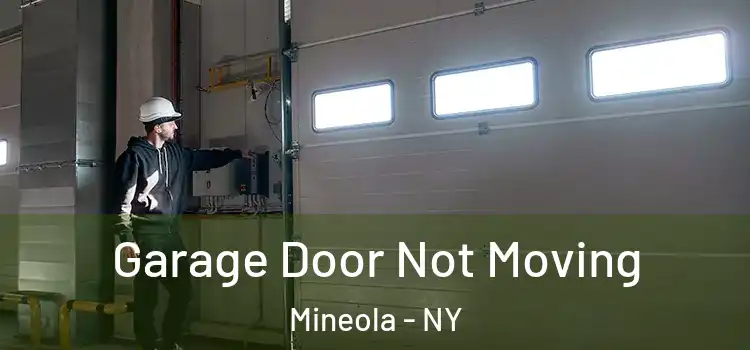  Garage Door Not Moving Mineola - NY