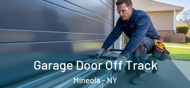  Garage Door Off Track Mineola - NY