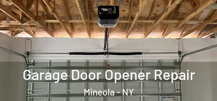  Garage Door Opener Repair Mineola - NY