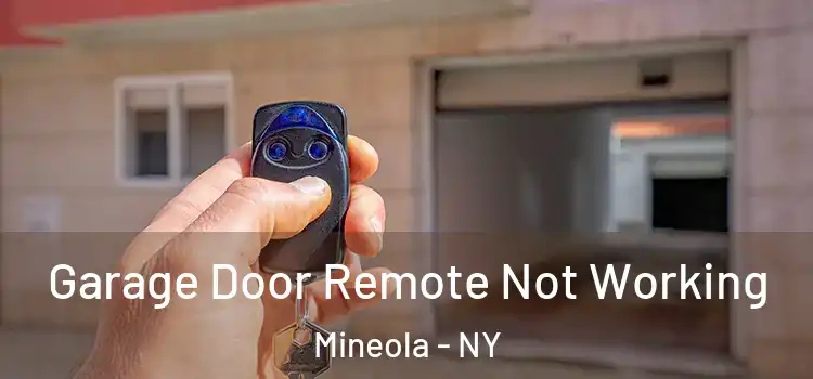  Garage Door Remote Not Working Mineola - NY
