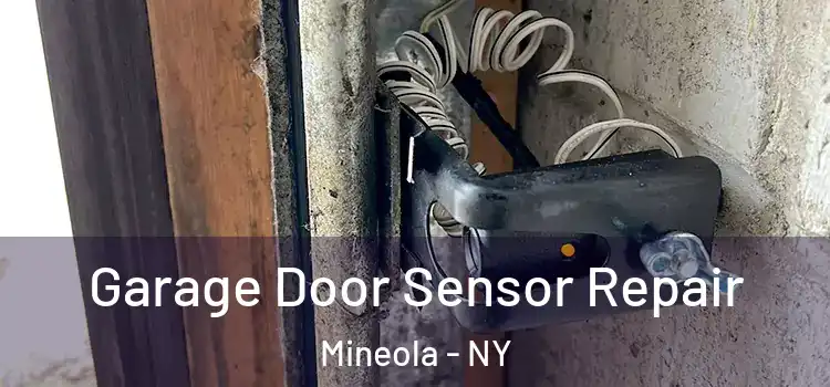 Garage Door Sensor Repair Mineola - NY