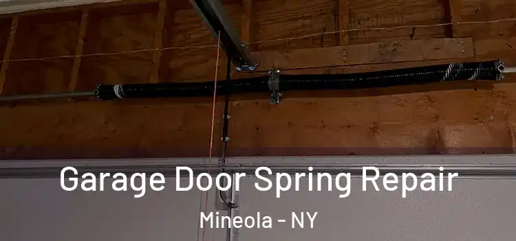  Garage Door Spring Repair Mineola - NY