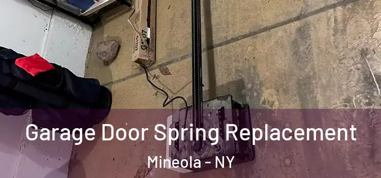  Garage Door Spring Replacement Mineola - NY