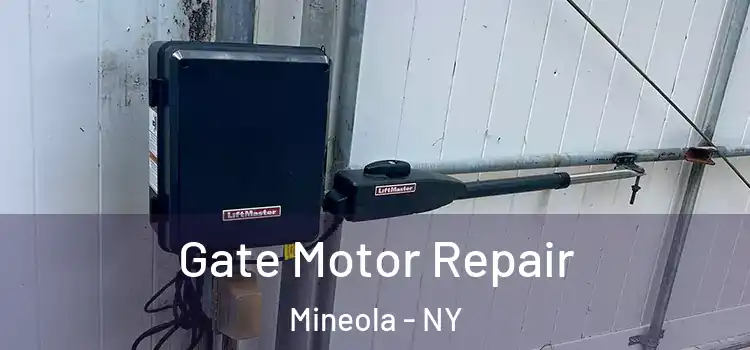  Gate Motor Repair Mineola - NY