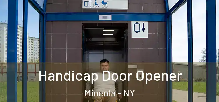  Handicap Door Opener Mineola - NY