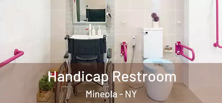  Handicap Restroom Mineola - NY