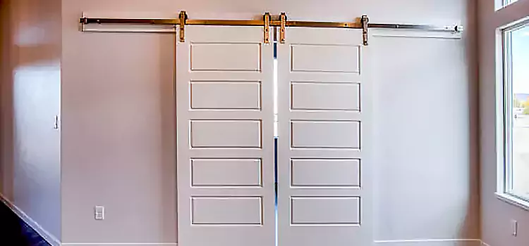 Glass Barn Door with Installation Hardware Kit Mineola
