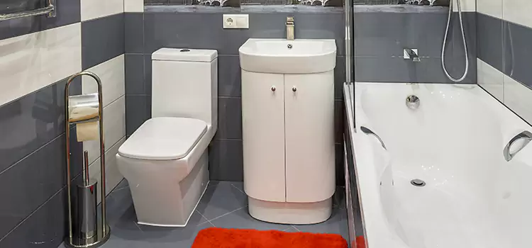 Hansgrohe Shaving Mirror Mineola