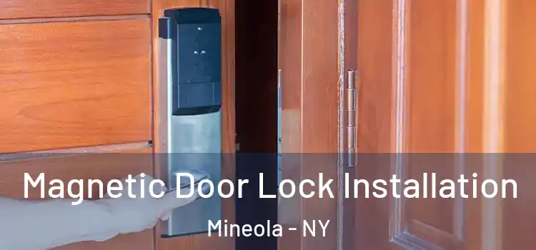  Magnetic Door Lock Installation Mineola - NY