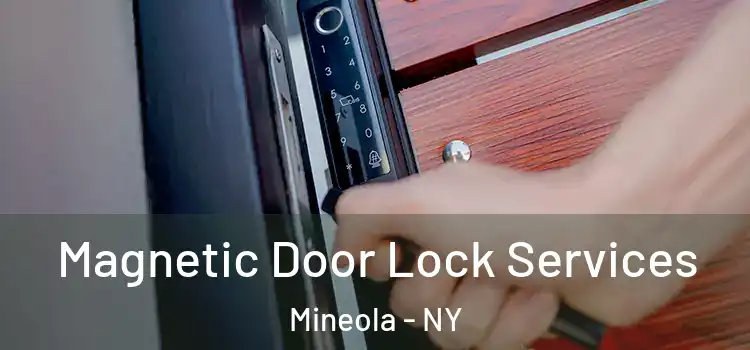  Magnetic Door Lock Services Mineola - NY