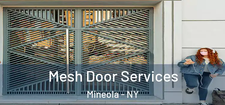  Mesh Door Services Mineola - NY