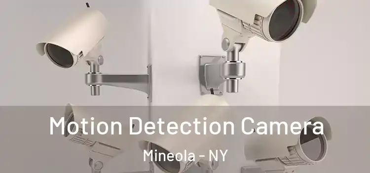  Motion Detection Camera Mineola - NY