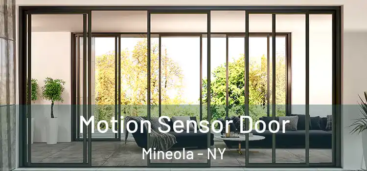  Motion Sensor Door Mineola - NY