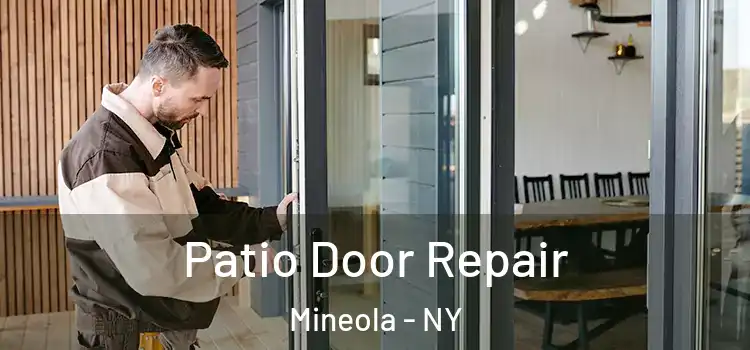  Patio Door Repair Mineola - NY