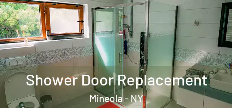  Shower Door Replacement Mineola - NY