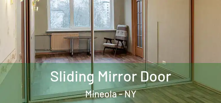  Sliding Mirror Door Mineola - NY