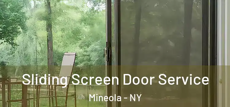  Sliding Screen Door Service Mineola - NY