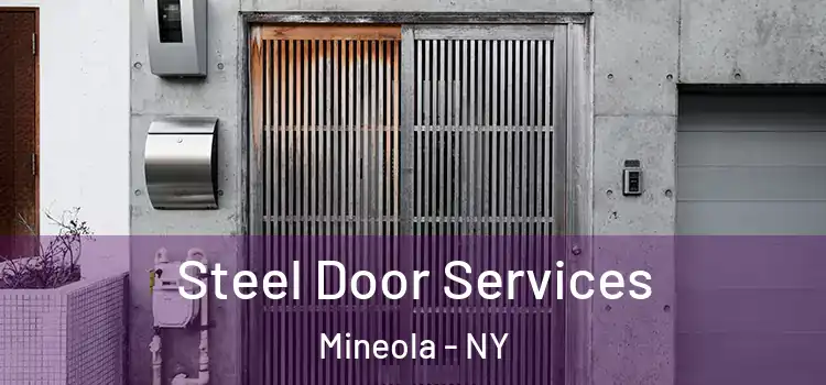  Steel Door Services Mineola - NY